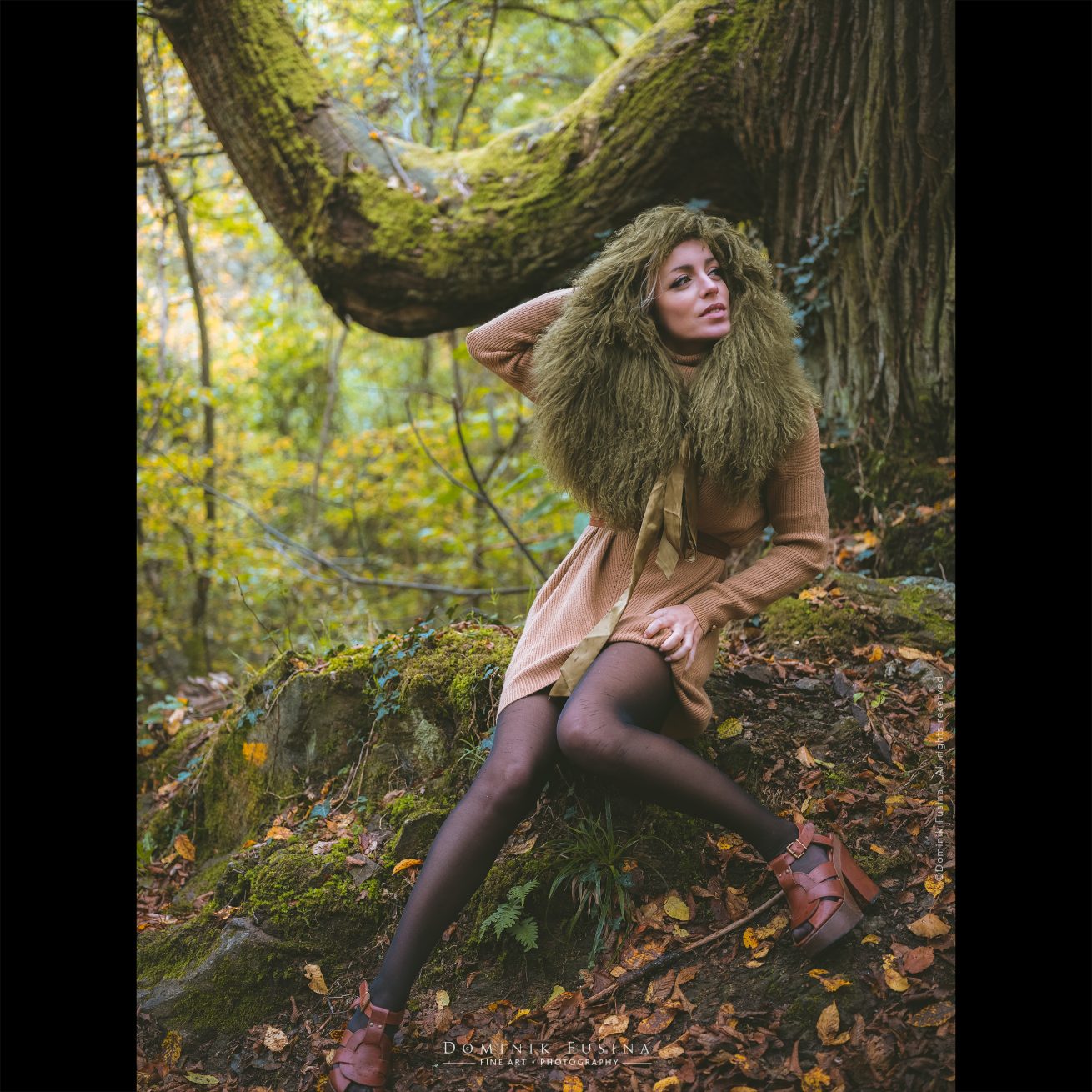 48914850542_fdb35aa101_o